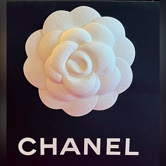 Chanel Shopping Bag and Chanel Ribbon - Picture 10 of 16